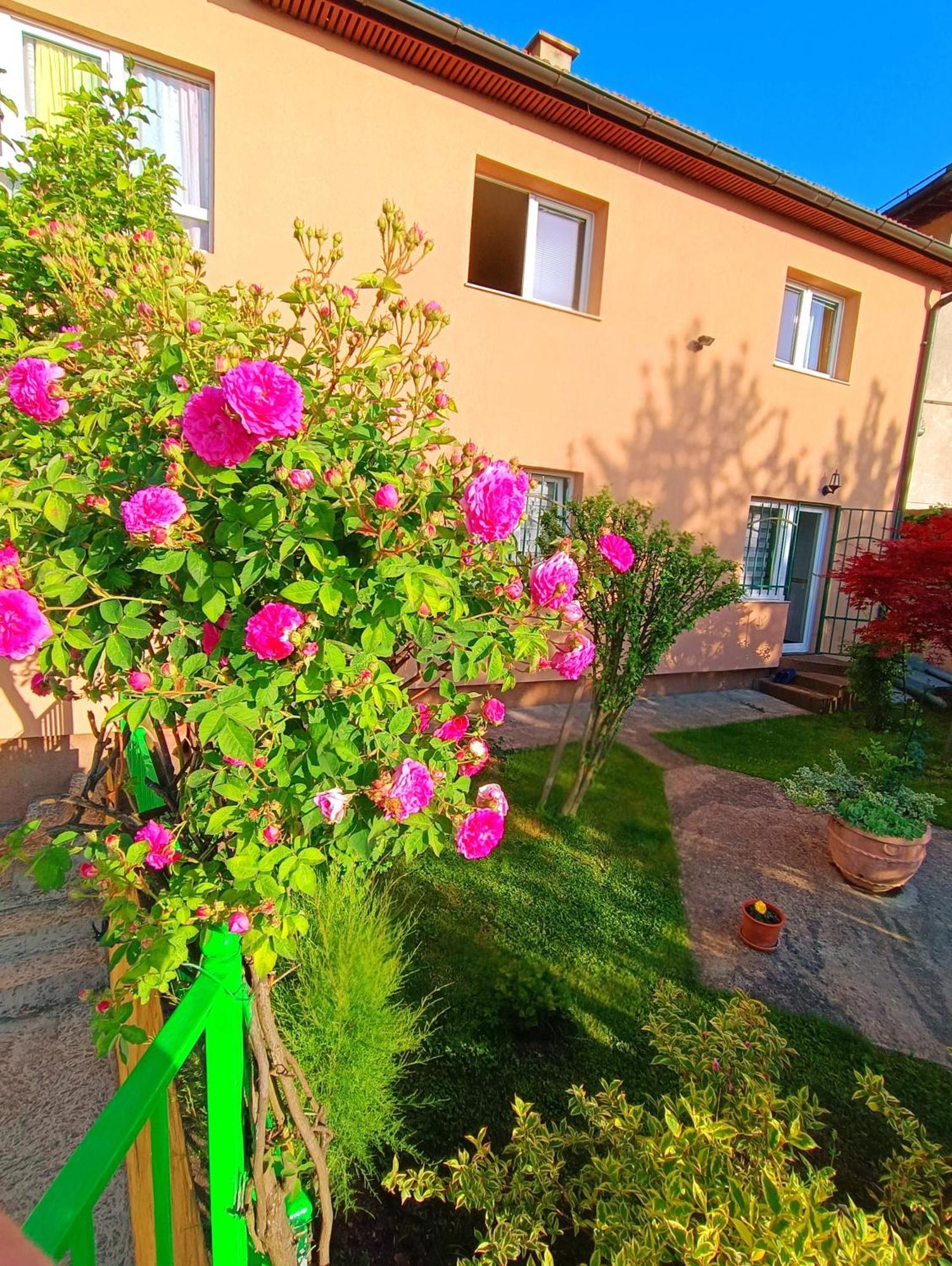 Garden Free Parking Apartment Sarajevo Exterior photo